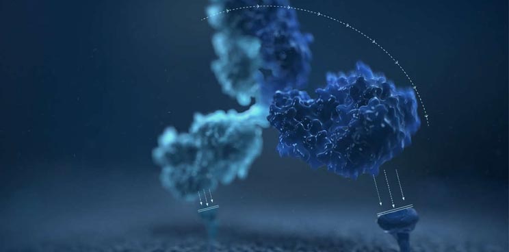 Interview with Dr Robert Wilkinson from MedImmune